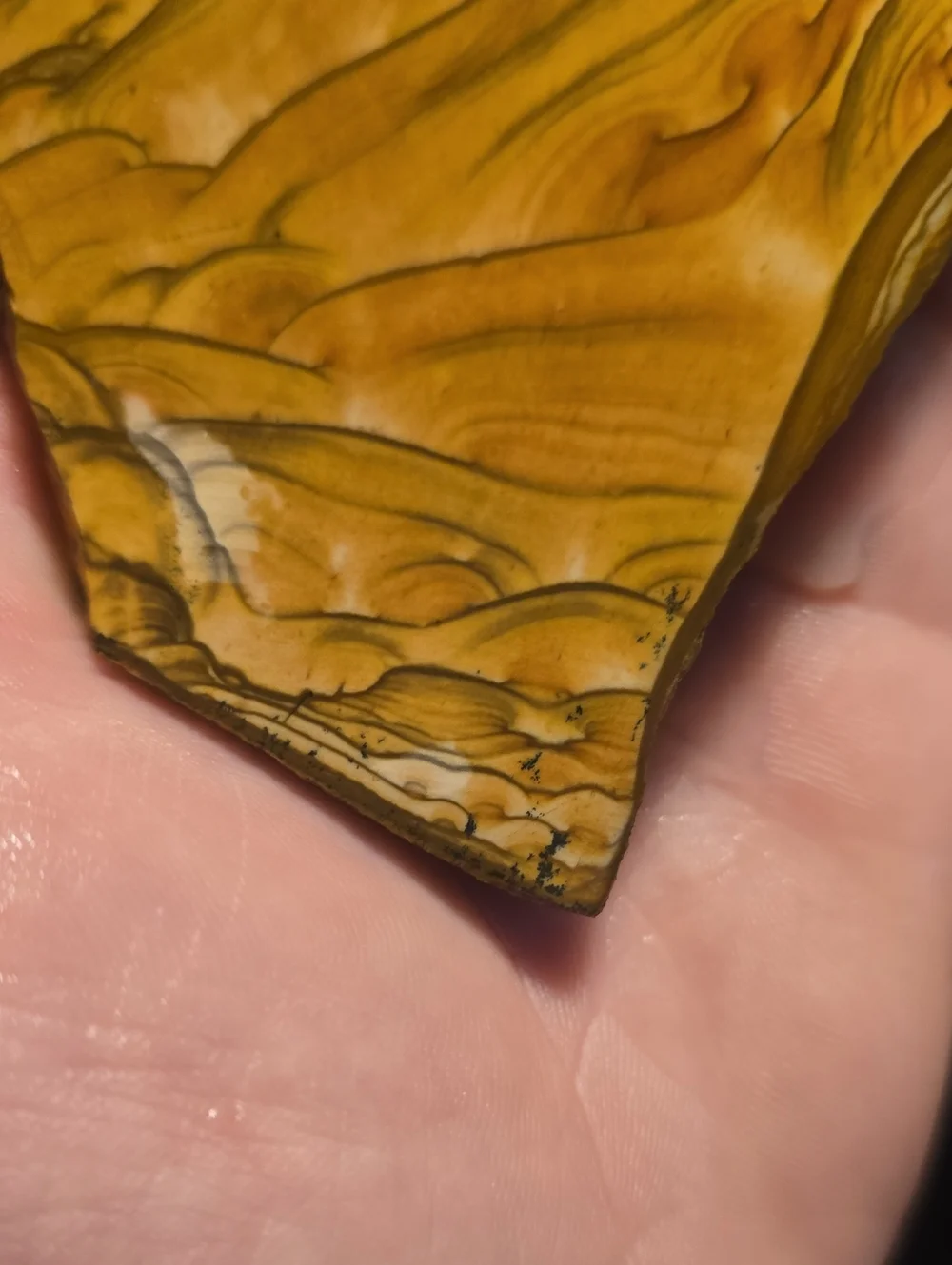 Old Stock Biggs Oregon Picture jasper Slab 147.49g